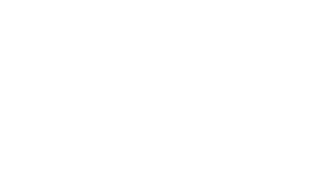 WS2
